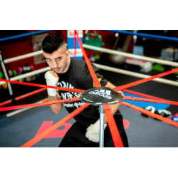 Sistema de esquiva para el boxeo